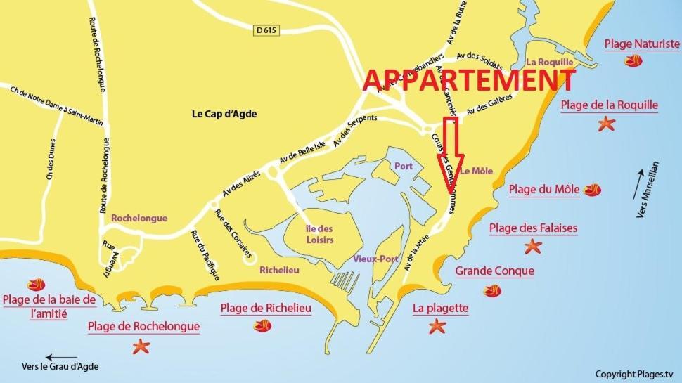 Апартаменты Cap D'Agde 300M Plage Du Mole,Vue Port,Parking,Lave Linge,Piscine Экстерьер фото