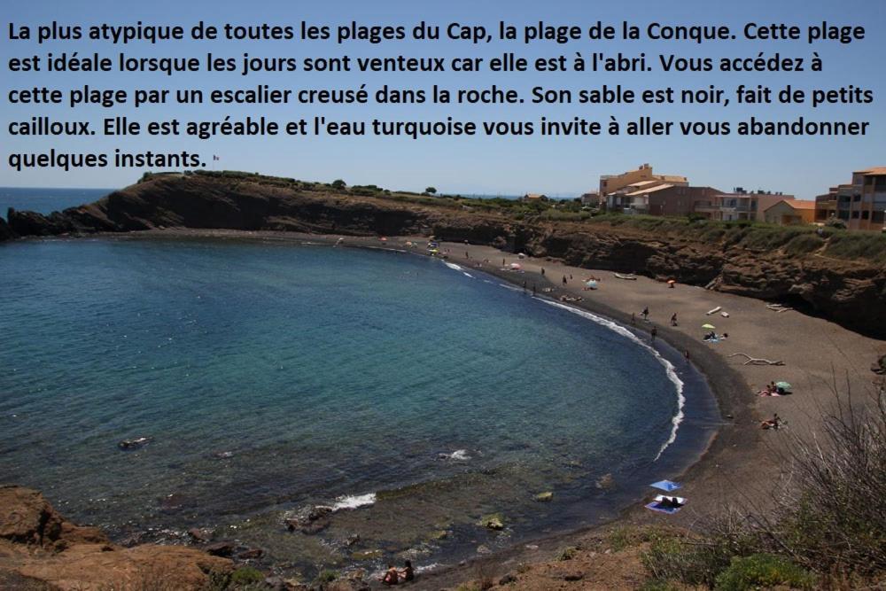Апартаменты Cap D'Agde 300M Plage Du Mole,Vue Port,Parking,Lave Linge,Piscine Экстерьер фото